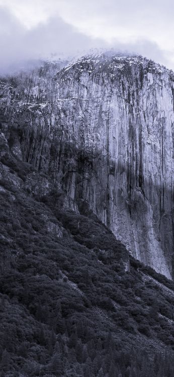 Обои OS X El Capitan, Операционная система, установка, яблоко, Apple МасВоок Pro в разрешении 1284x2778