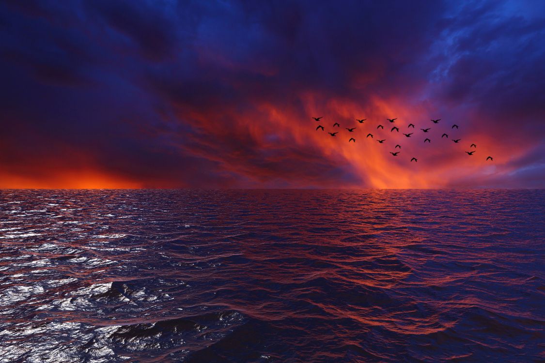 Обои горизонт, море, вода, океан, синий в разрешении 6000x4000