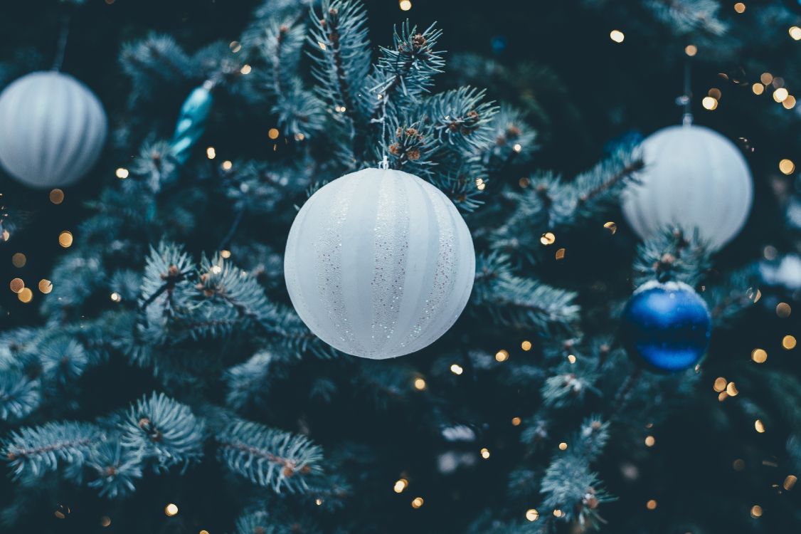 Обои Рождественский день, Рождественские украшения, рождественский орнамент, елка, синий в разрешении 3999x2662