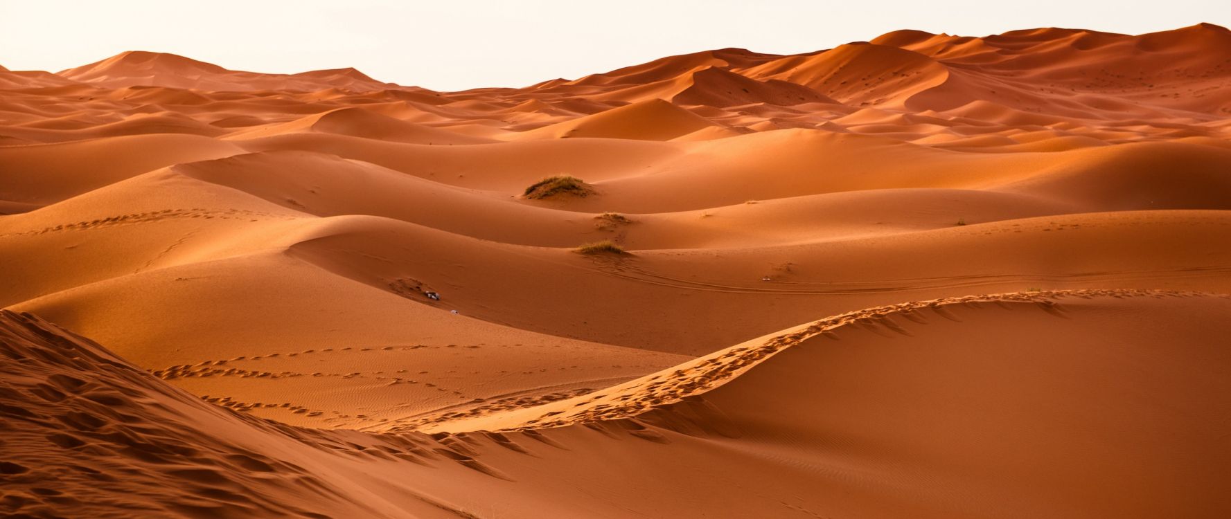 Обои пустыня, эрг, песок, эолийские рельефы, сахара в разрешении 2560x1080