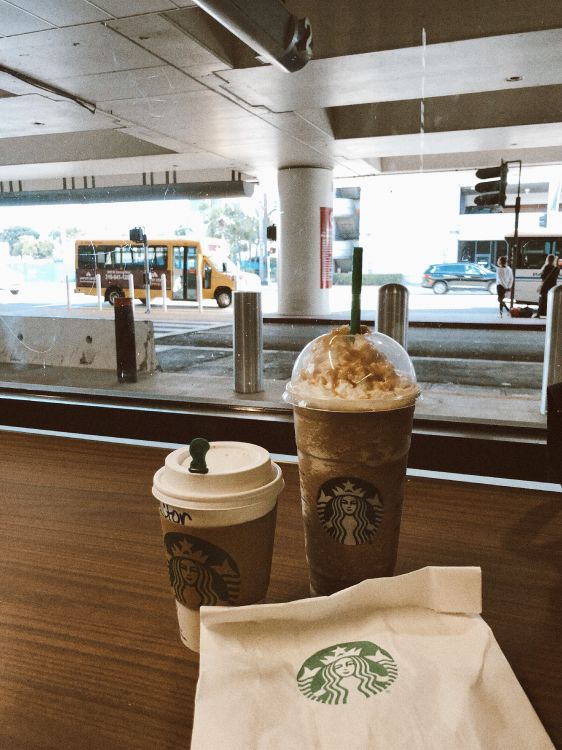 Обои старбакс, старбеку, этаж, пол, дизайн интерьера в разрешении 3025x4032