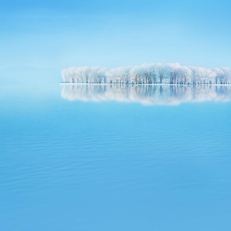 Обои Huawei, Huawei P30, Хуавей Р20 Про, huawei p30 pro, huawei p40 в разрешении 2340x2340