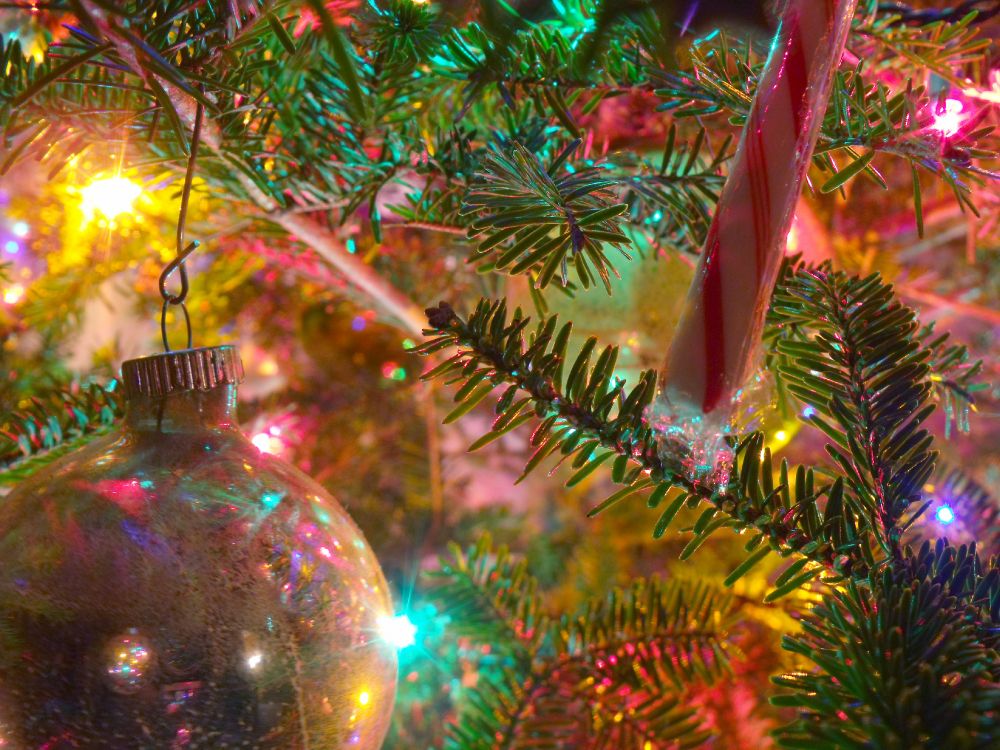 Обои Рождественский день, дерево, елка, Рождество, Рождественские украшения в разрешении 3648x2736