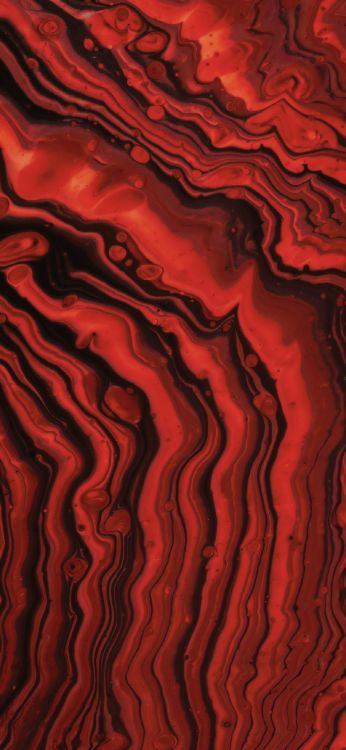 Обои Апельсин, коричневый цвет, жидкий, ткань, древесина в разрешении 1170x2535