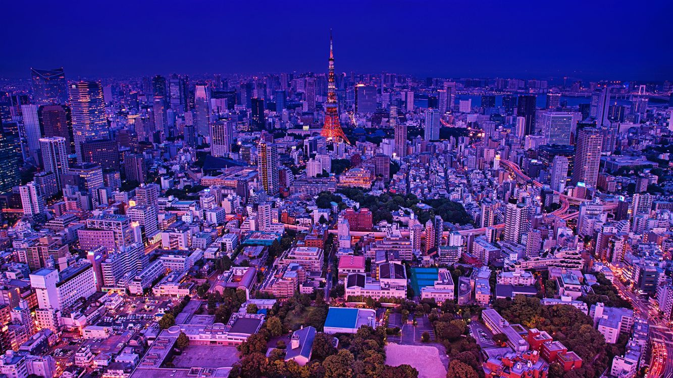 Обои Токио, токийская башня, город, городской пейзаж, городской район в разрешении 2560x1440
