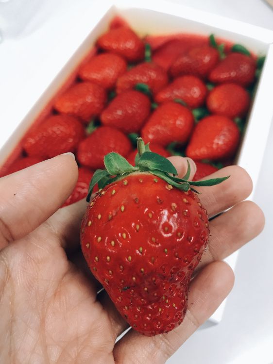 Обои клубника, фрукты, пища, природные продукты, растение в разрешении 3024x4032