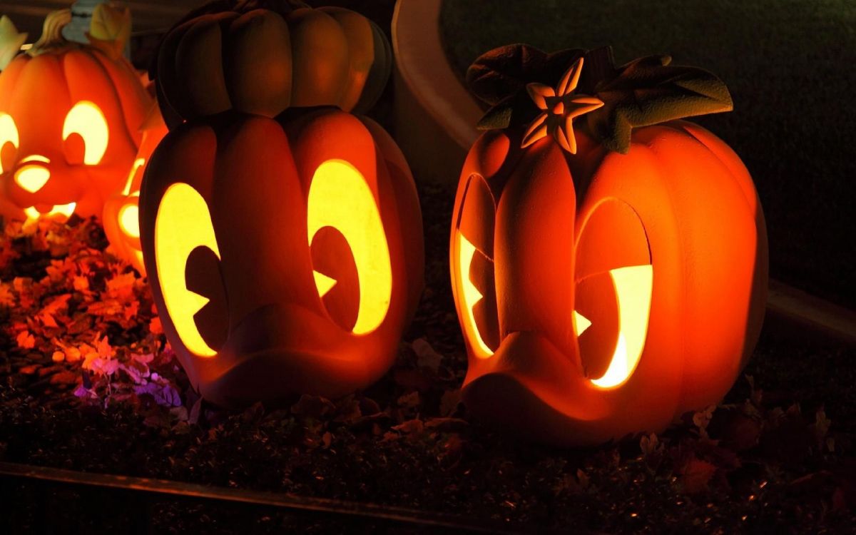 Обои Хэллоуин, тыква, праздник, калебас, зимний сквош в разрешении 3840x2400