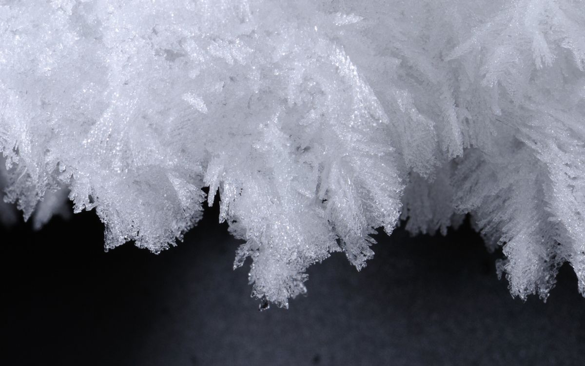 Обои лед, белые, замораживание, мороз, снег в разрешении 2560x1600