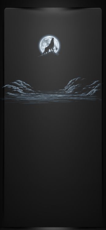 Обои темнота, черный и белый, графика, астрономический объект, лунный свет в разрешении 1080x2340