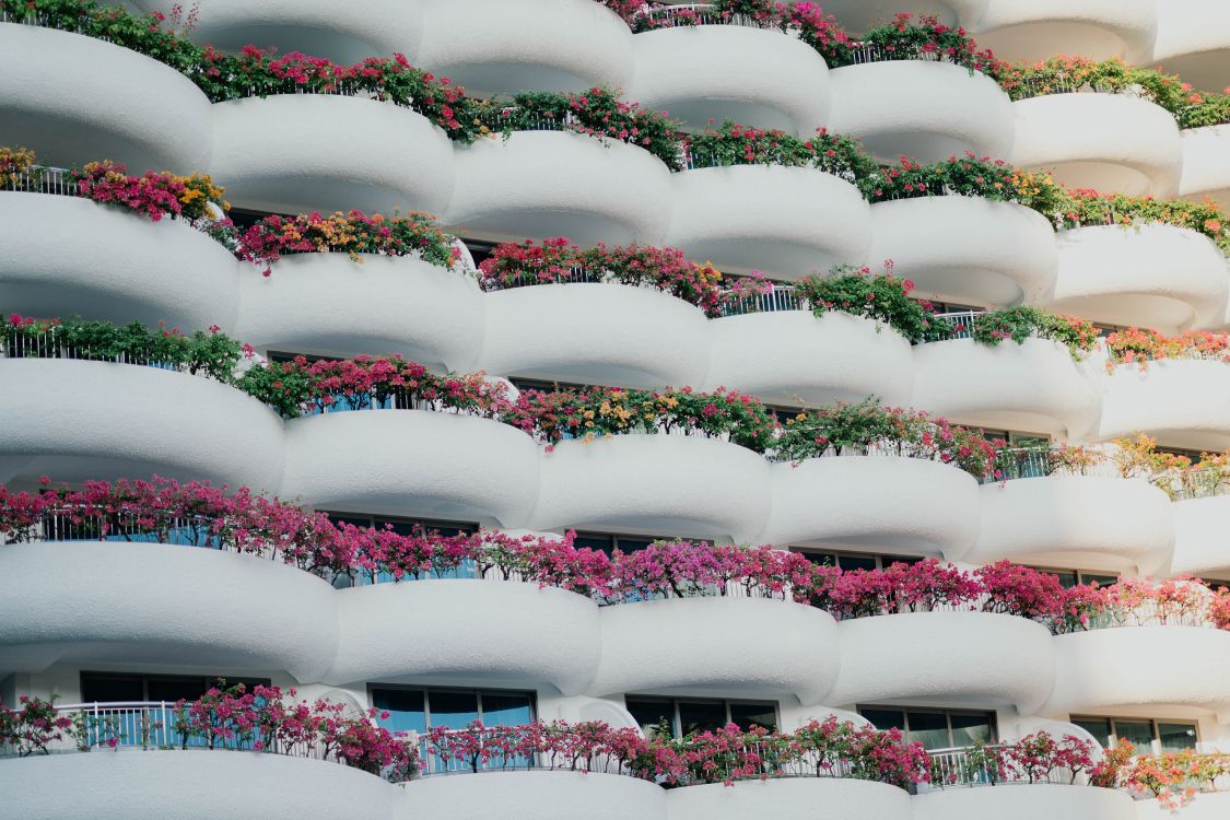 Обои архитектура, здание, розовый, материальное свойство, узор в разрешении 6036x4024