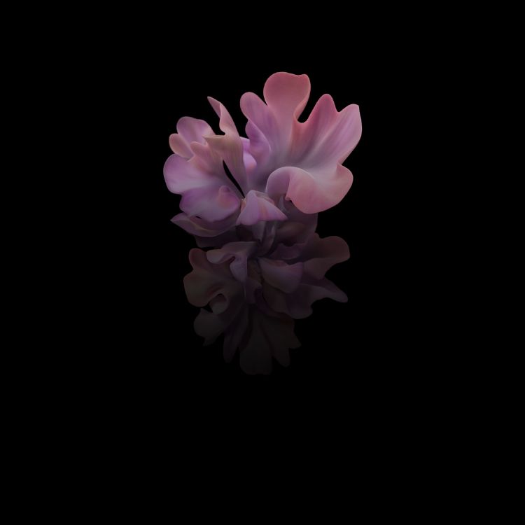 Обои Samsung Galaxy, Samsung, Samsung Galaxy Z Flip, смартфон, складной смартфон в разрешении 2636x2636