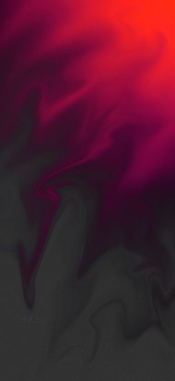 Обои крупный план, растение, лепесток, розовый, Фиолетовый в разрешении 1356x2934