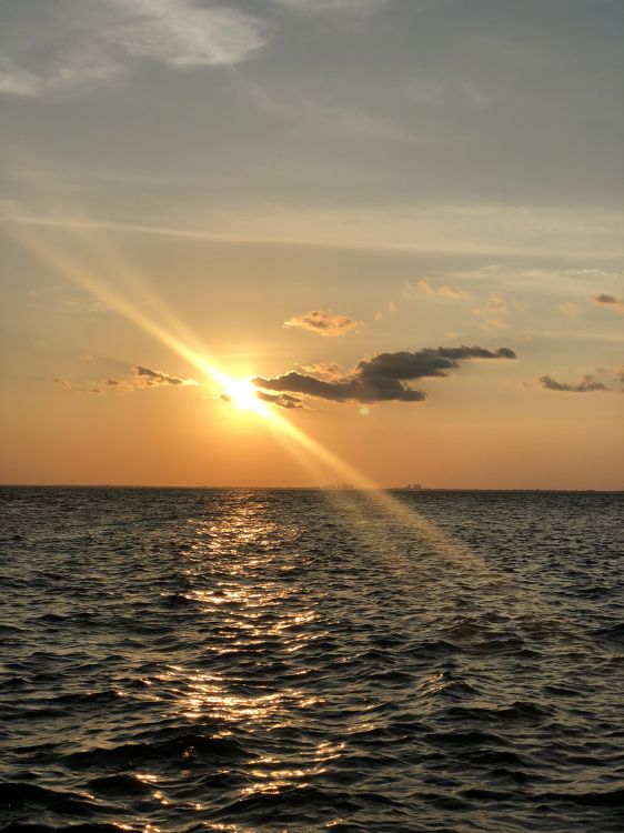 Обои море, вода, закат, жидкость, жидкий в разрешении 1536x2048