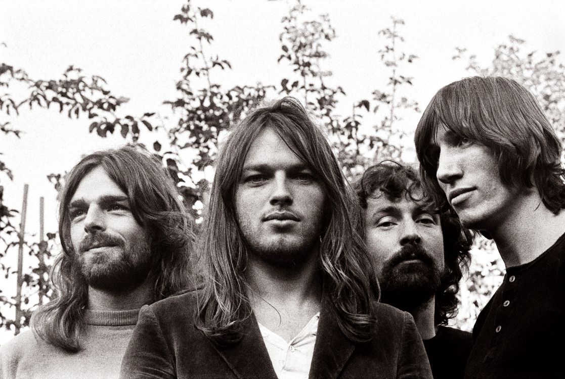 Обои Pink Floyd, волосы, волосы на лице, человек, борода в разрешении 2048x1375