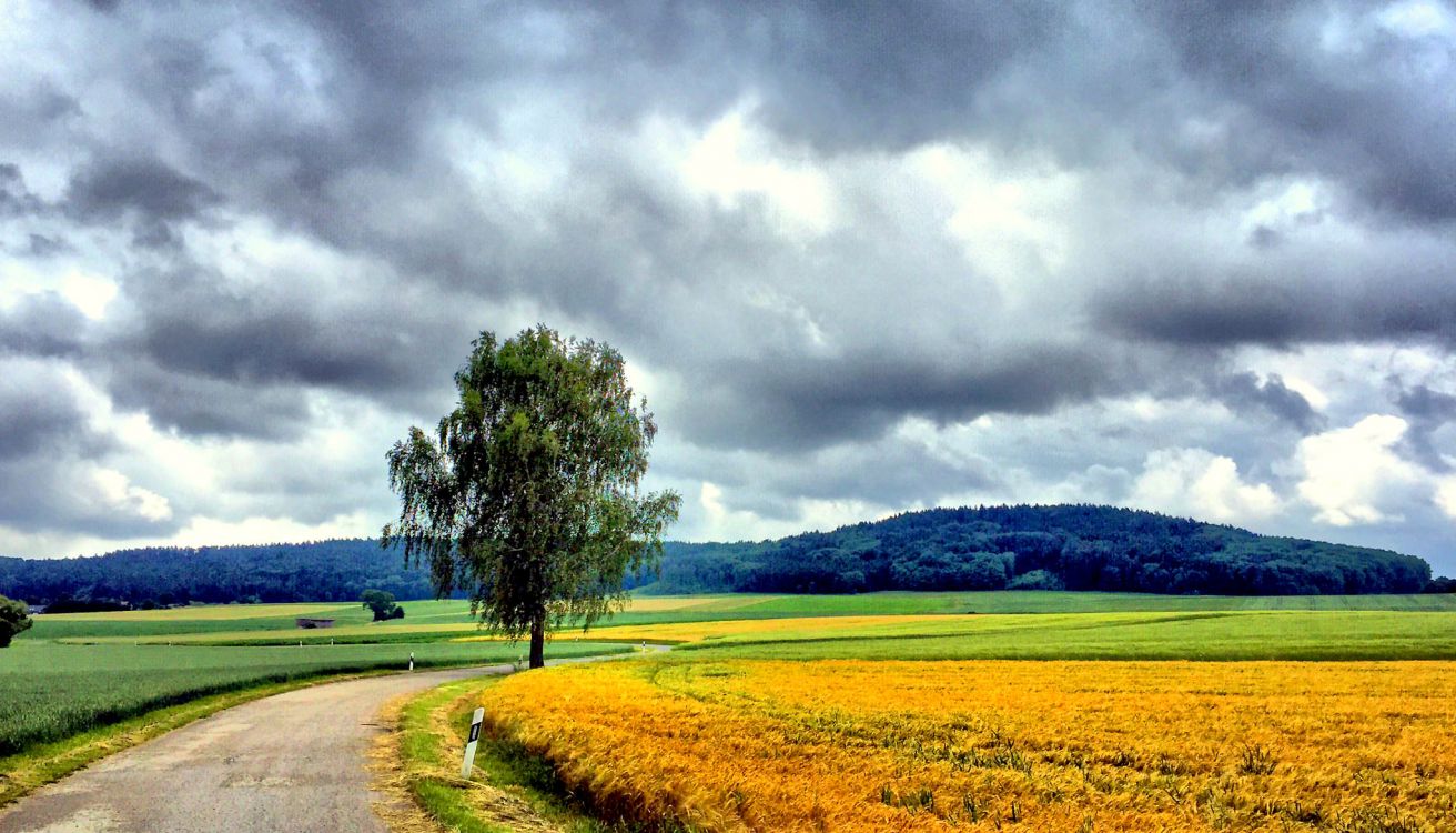 Обои природа, поле, облако, сенокосное угодье, небо в разрешении 2048x1170