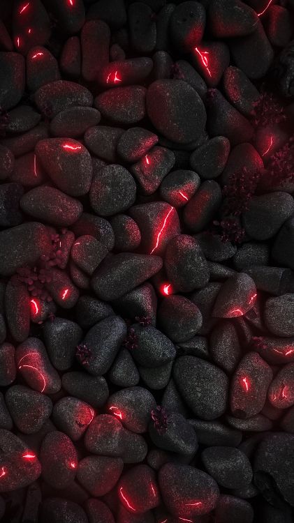 Обои смартфон, ios, автомобильное освещение, автомобильные шины, растение в разрешении 3260x5796