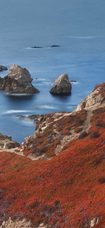 Обои apple, iPhone 12 Pro, iPhone 12 Pro Max, iPhone XS Max, macOS Big Sur в разрешении 1242x2688