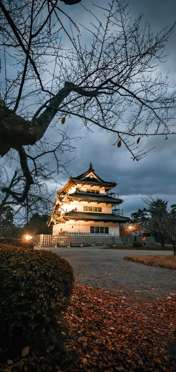 Обои биология, облако, растение, здание, природа в разрешении 1422x3000