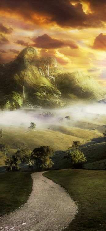 Обои природа, пейзаж, облако, растение, атмосфера в разрешении 1080x2340