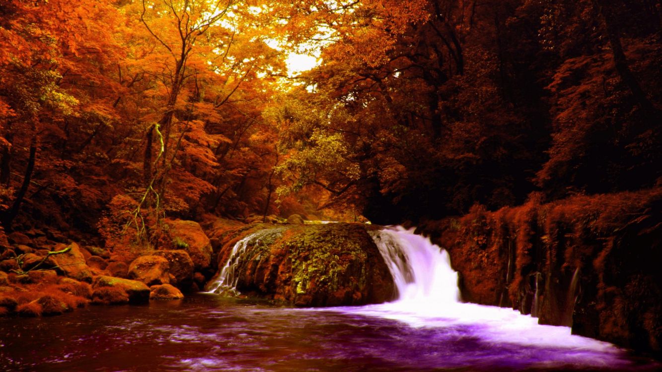 Обои природа, водопад, водоток, природный заповедник, водоем в разрешении 2560x1440