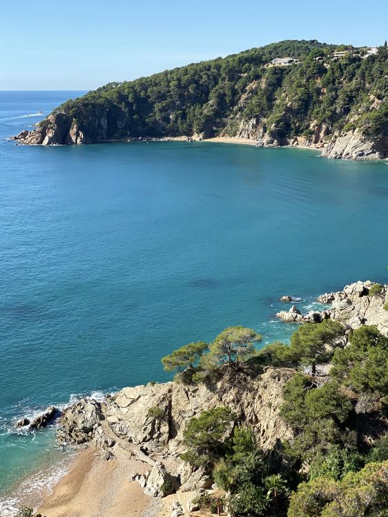 Обои море, водоем, природа, растительность, побережье в разрешении 2949x3933