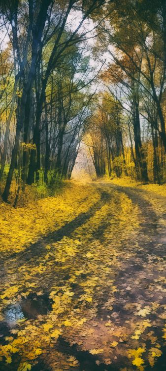 Обои природа, растение, Люди в природе, дерево, древесина в разрешении 1080x2400