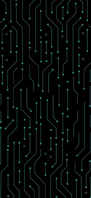 Обои узор, дизайн, математика, геометрия, растение в разрешении 1080x2340