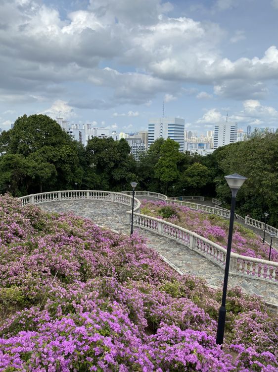 Обои цветок, водоем, природа, растительность, лепесток в разрешении 1536x2048