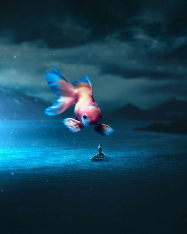 Обои вода, птица, клюв, электрик, арт в разрешении 2048x2560