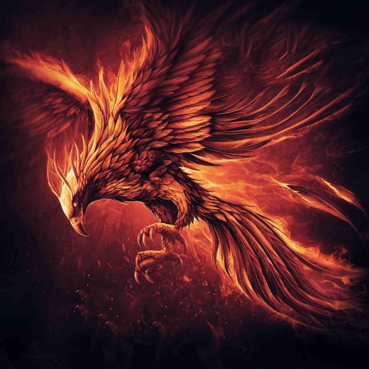 Обои распорки огонь, стойка, огонь, темнота, дракон в разрешении 3900x3900