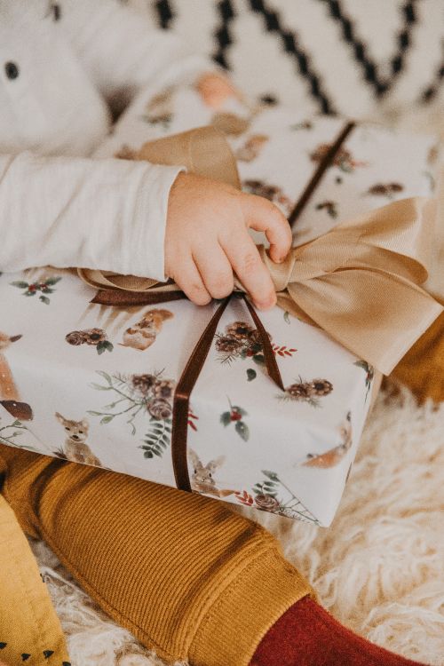 Обои подарок, дерево, ткань, растение, персик в разрешении 4912x7360