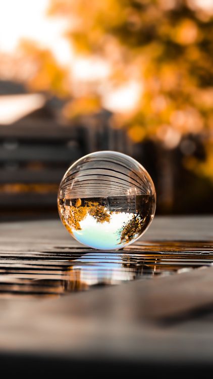 Обои отражение, вода, автомобильное освещение, растение, облако в разрешении 1690x3000