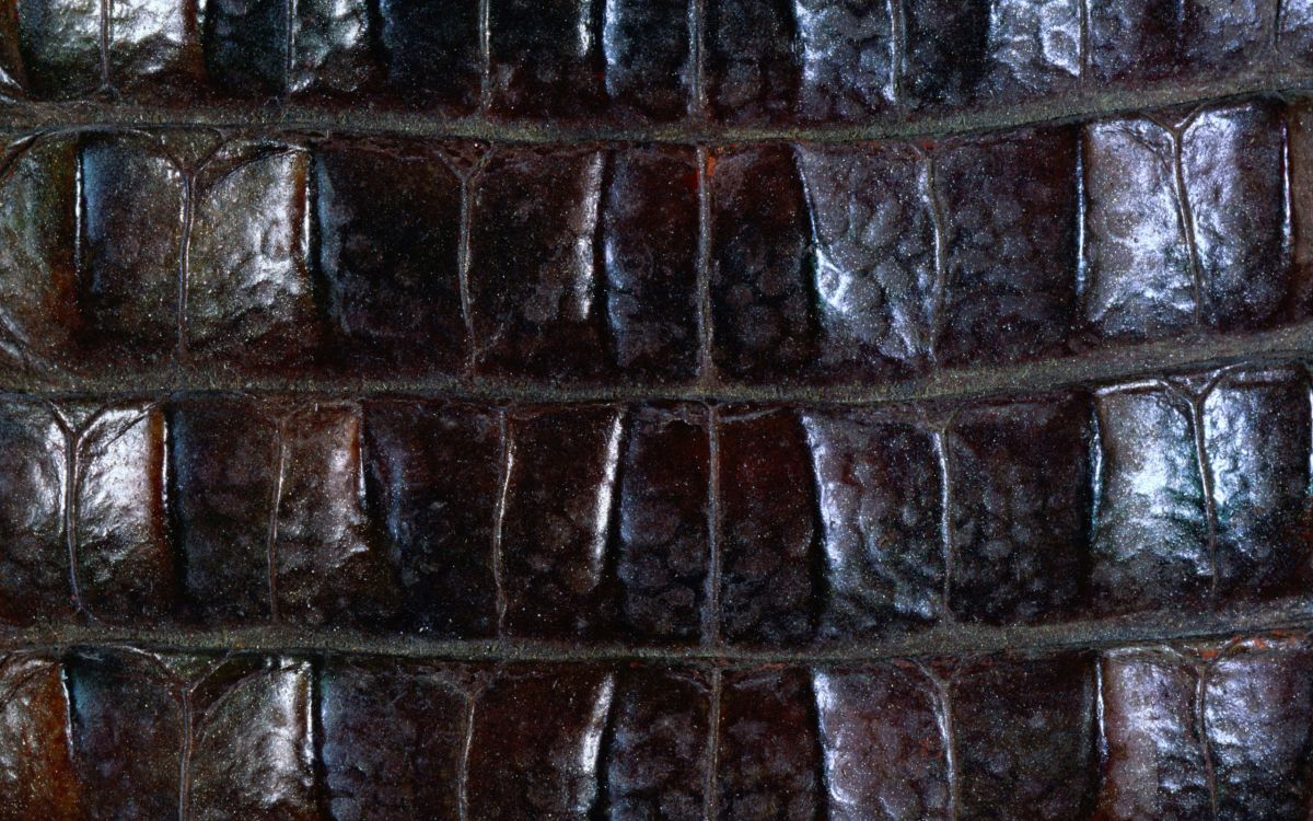 Обои крокодил текстуры кожи, текстура, металл, Аллигатор, древняя история в разрешении 2560x1600