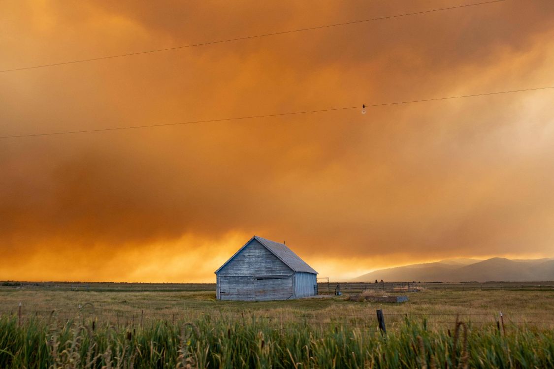Обои трава, облако, атмосфера, экорегион, растение в разрешении 3605x2403