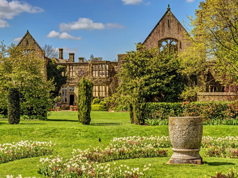 Обои природа, свойство, имущество, сад, родина в разрешении 4000x3000