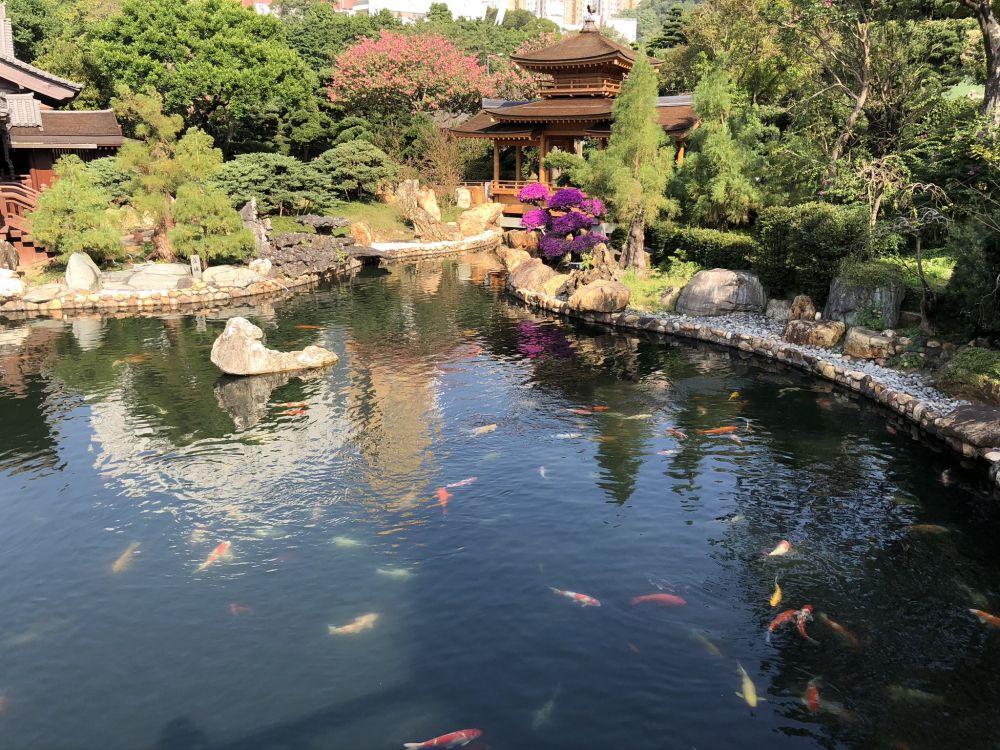 Обои Гонконг, отражение, водоток, сад, водные элементы в разрешении 2048x1536