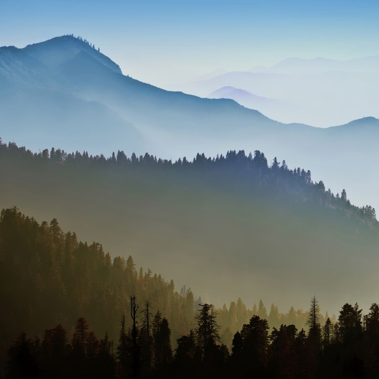 Обои гора, горный хребет, атмосфера, дерево, природа в разрешении 2400x2400