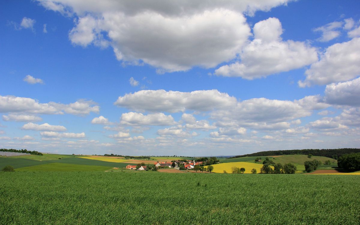Обои поле, пейзажная живопись, природа, луг, сенокосное угодье в разрешении 2560x1600