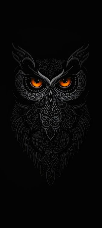 Обои сова, голова, глаз, серый цвет, арт в разрешении 1080x2400