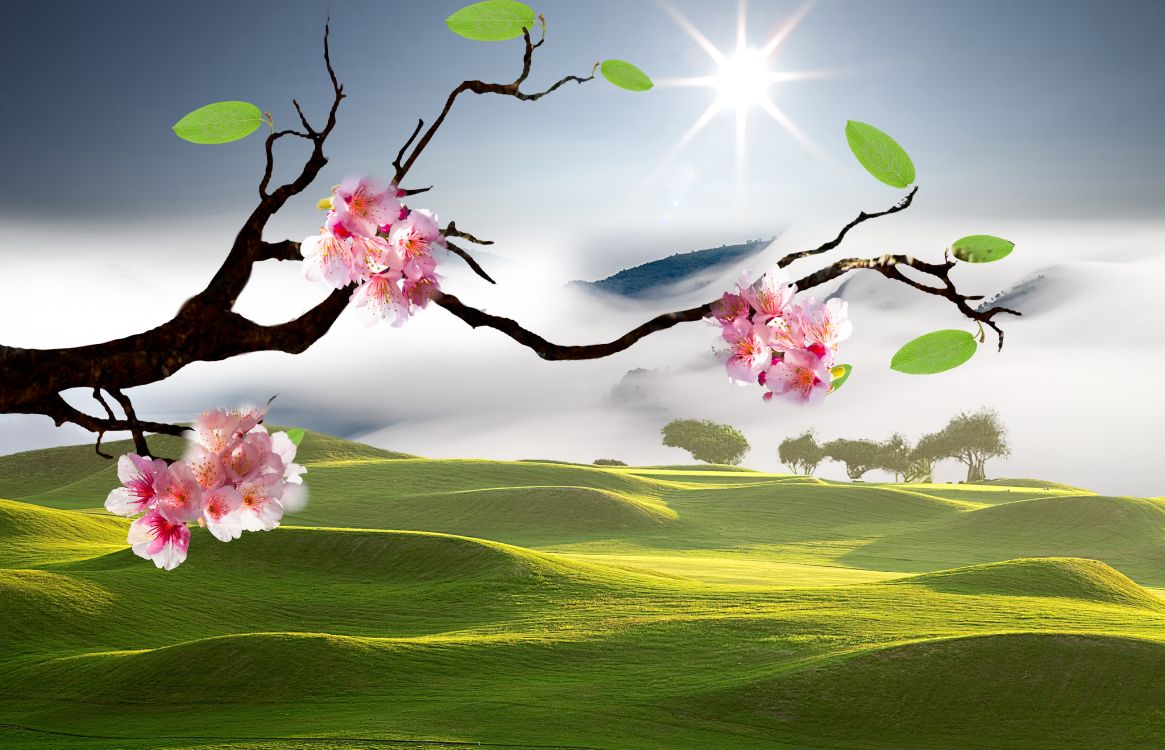 Обои пейзажная живопись, цветение вишни, пейзаж, цветок, природа в разрешении 7883x5071