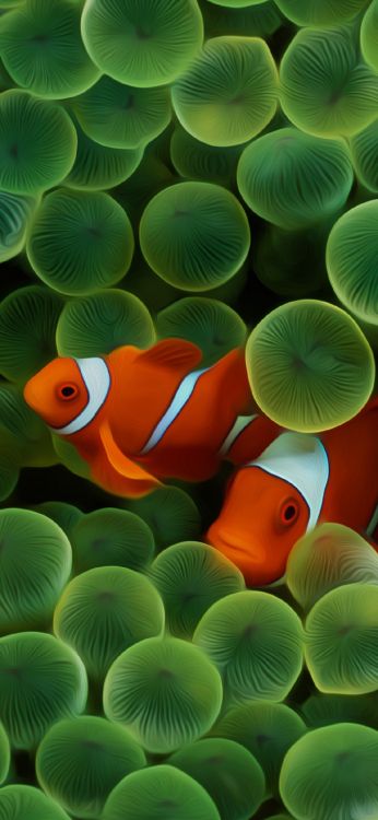 Обои яблоко, зеленый, свет, ботаники, природа в разрешении 1125x2436