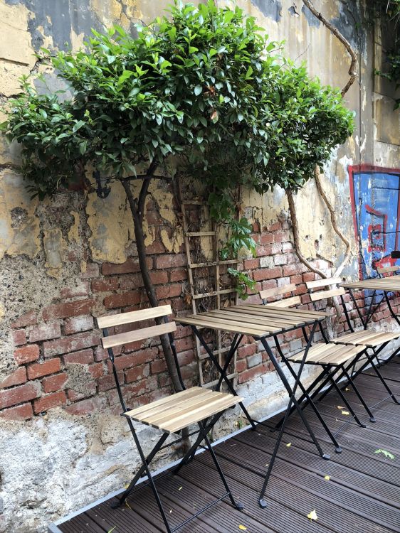 Обои дерево, мебель, таблица, открытый стол, уличная мебель в разрешении 1536x2048