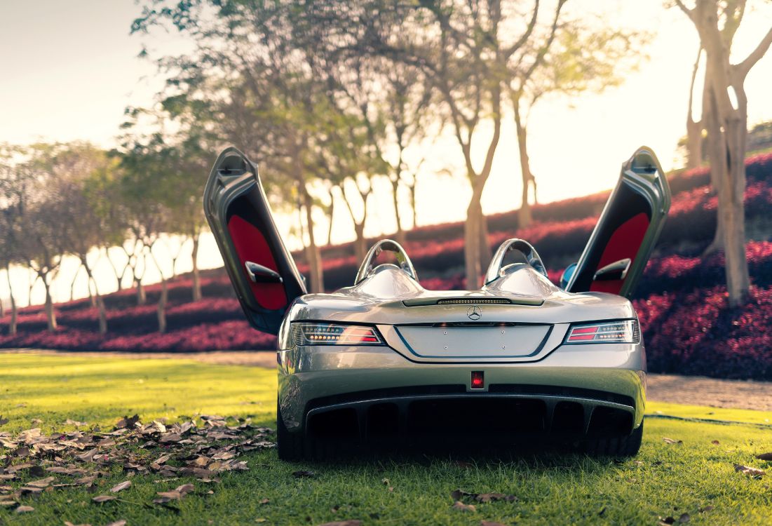 Обои Mercedes-Benz SLR McLaren, суперкар, авто, дерево, автомобильный экстерьер в разрешении 4000x2724