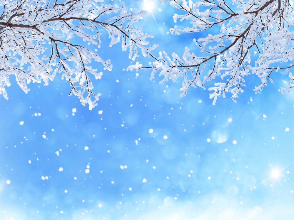 Обои снег, зима, синий, дневное время, ветвь в разрешении 5200x3900