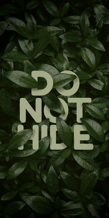 Обои любовь против дизайна, растение, наземное растение, публикация, узор в разрешении 1282x2560