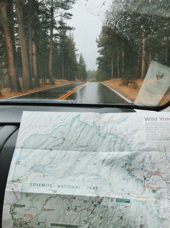 Обои дорога, ветровое стекло, дерево, инфраструктура, автомобильная часть окна в разрешении 2740x3653