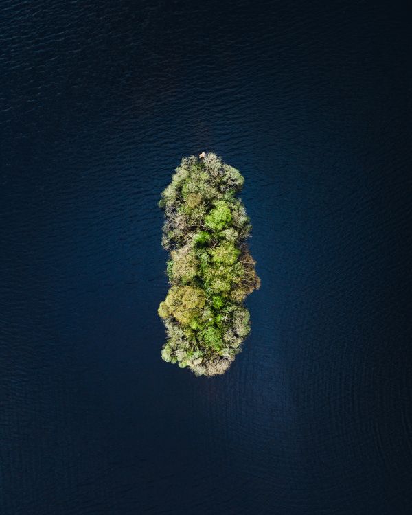 Обои вода, зеленый, растение, рок, цветок в разрешении 2852x3565