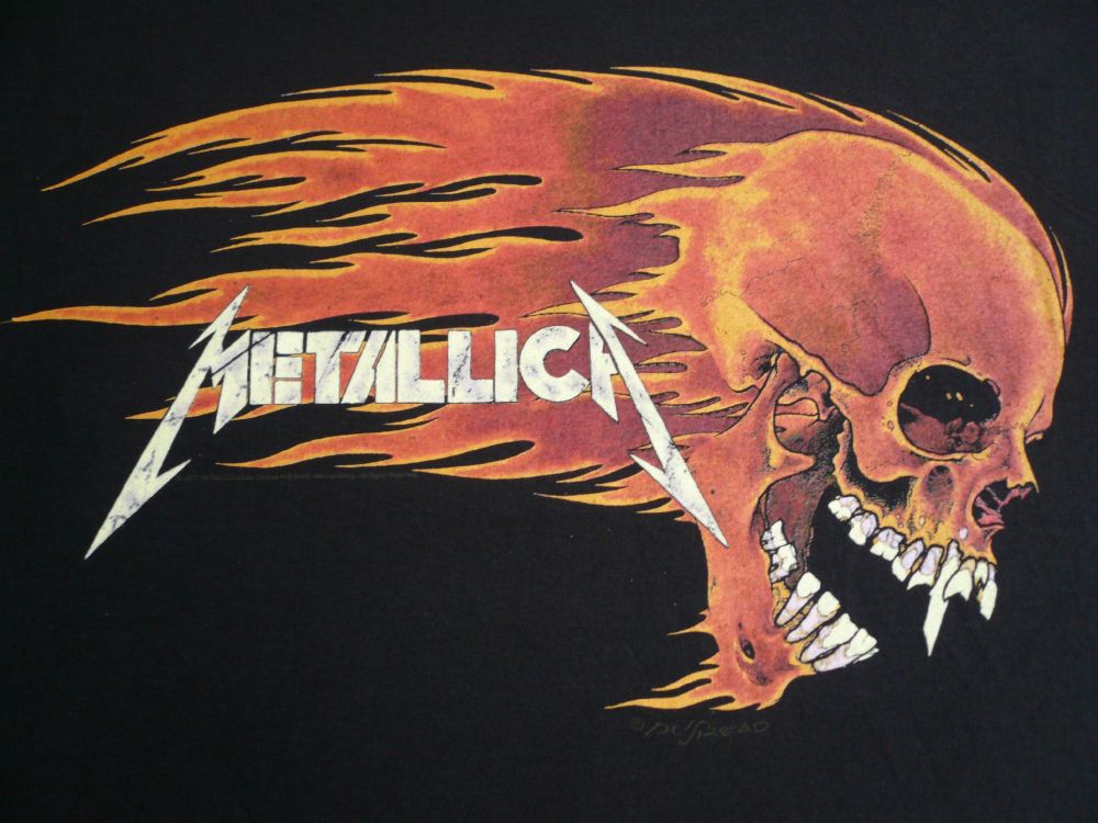 Обои Metallica, тяжелый металл, череп, кость, иллюстрация в разрешении 3072x2304