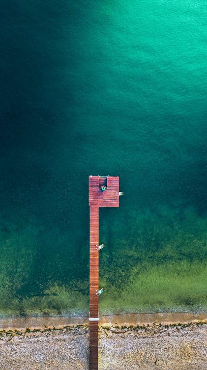 Обои вода, лазурный, древесина, растение, прямоугольник в разрешении 2225x3959