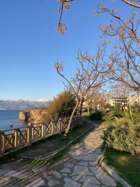 Обои наука, биология, физика, растение, вода в разрешении 1536x2048